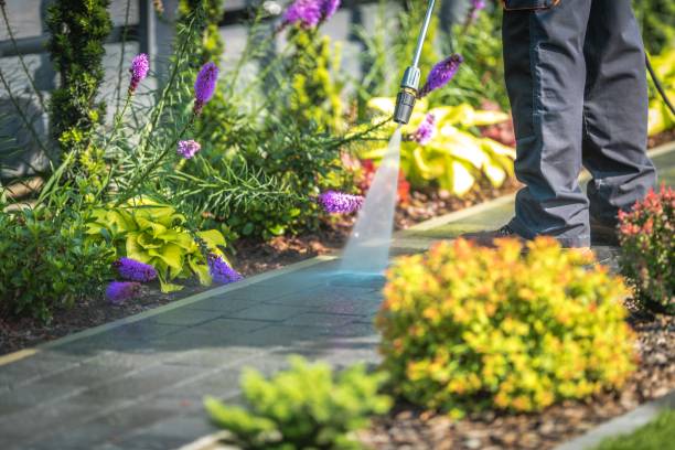 Best Pre-Holiday Cleaning  in Creedmoor, NC